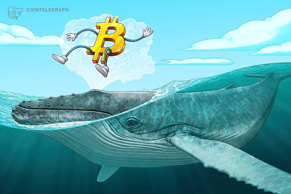 $11B Bitcoin Whale Returns After 2 Months, Transfers $360M BTC