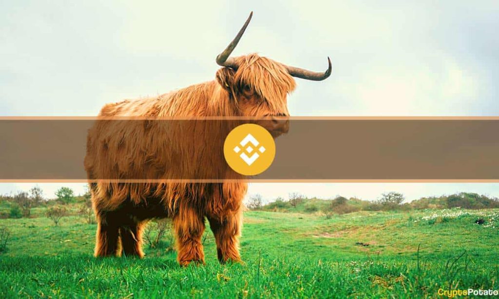 Binance Coin (BNB) Flips Ripple (XRP) Following Record-Breaking Price Surge