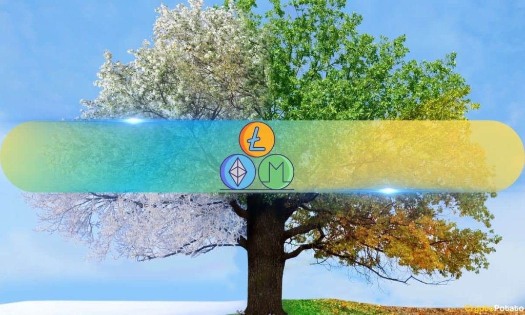 Will Altcoins Seize the Next Liquidity Wave? Will Altcoins Seize the Next Liquidity Wave?