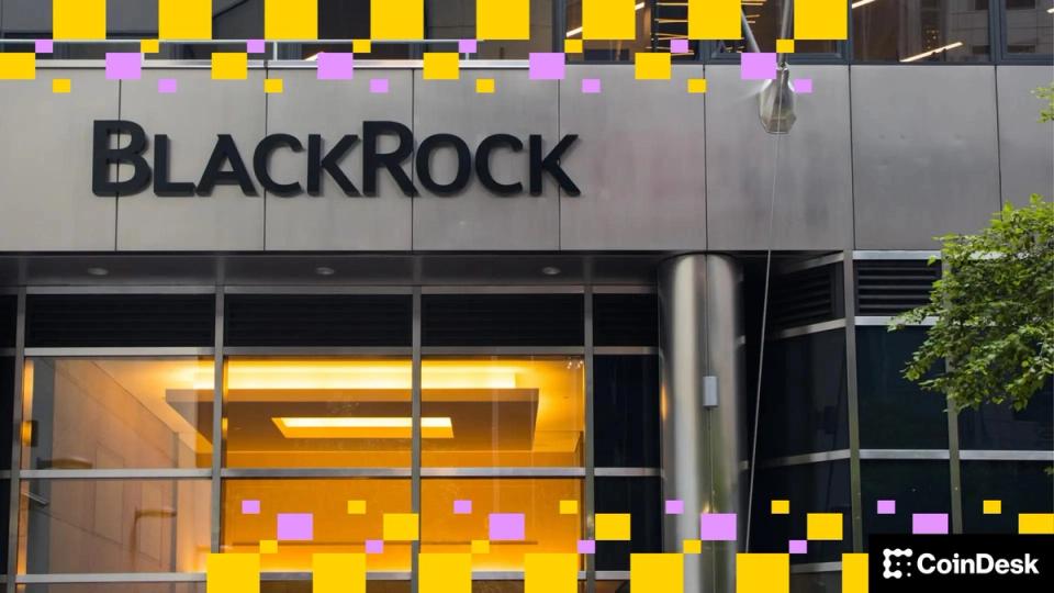 Bitcoin ETFs Are Now BlackRock’s Top Revenue Source, Exec Says
Bitcoin ETFs Are Now BlackRock’s Top Revenue Source, Exec Says
